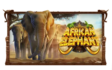 African Elephant