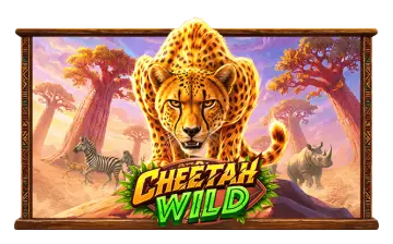 Cheetah Wild