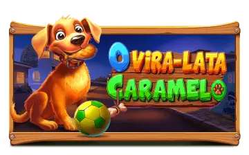 O Vira-lata Caramelo