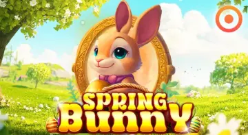 Spring Bunny